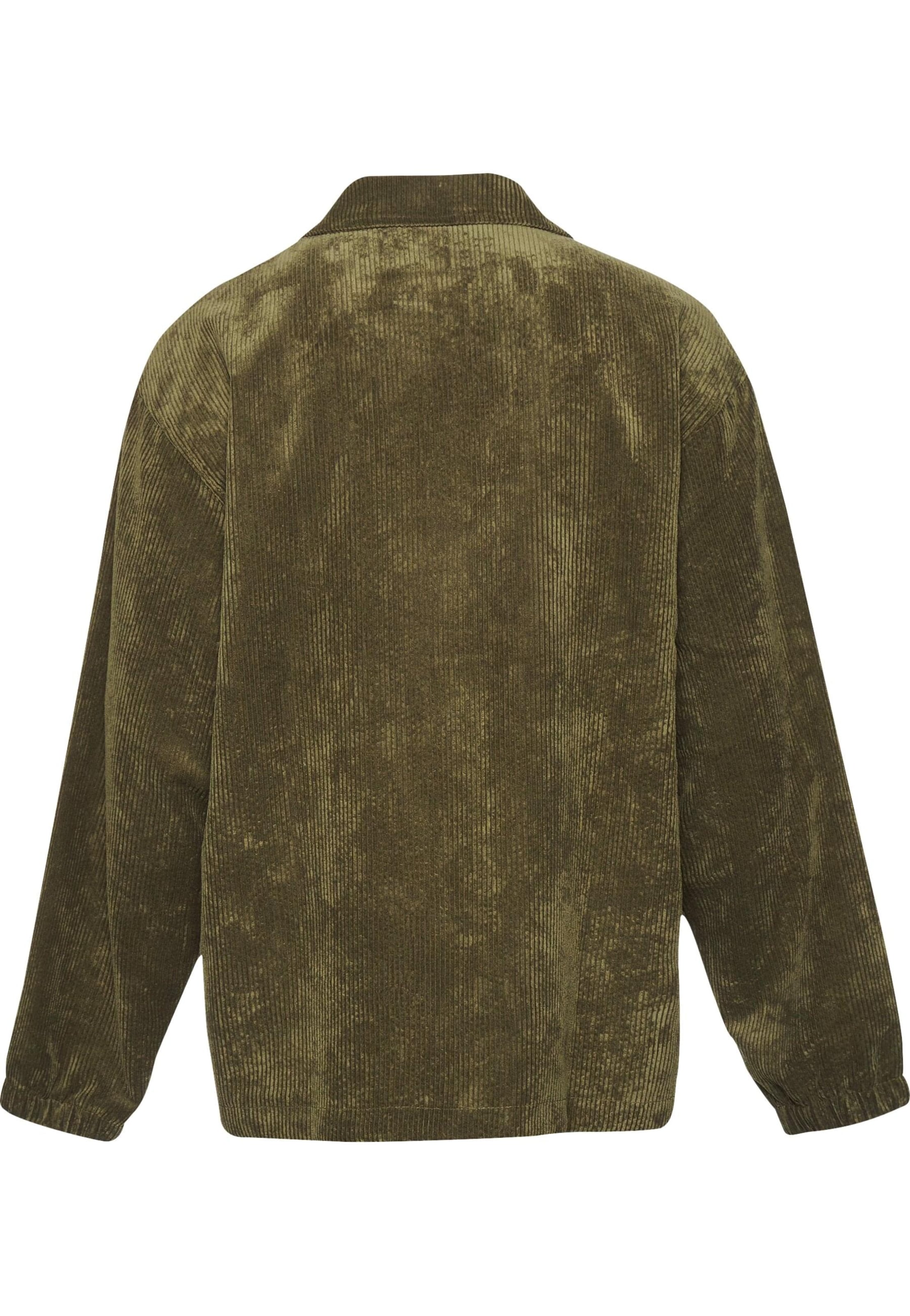 DEF Regular fit Πουκάμισο σε πράσινο