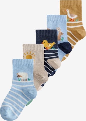 Next Socks in Beige: front