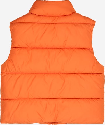 s.Oliver Vest in Orange