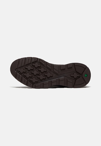 TIMBERLAND Visoke superge 'Field Trekker' | rjava barva