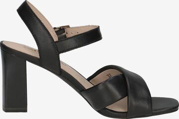 CAPRICE Sandals in Black