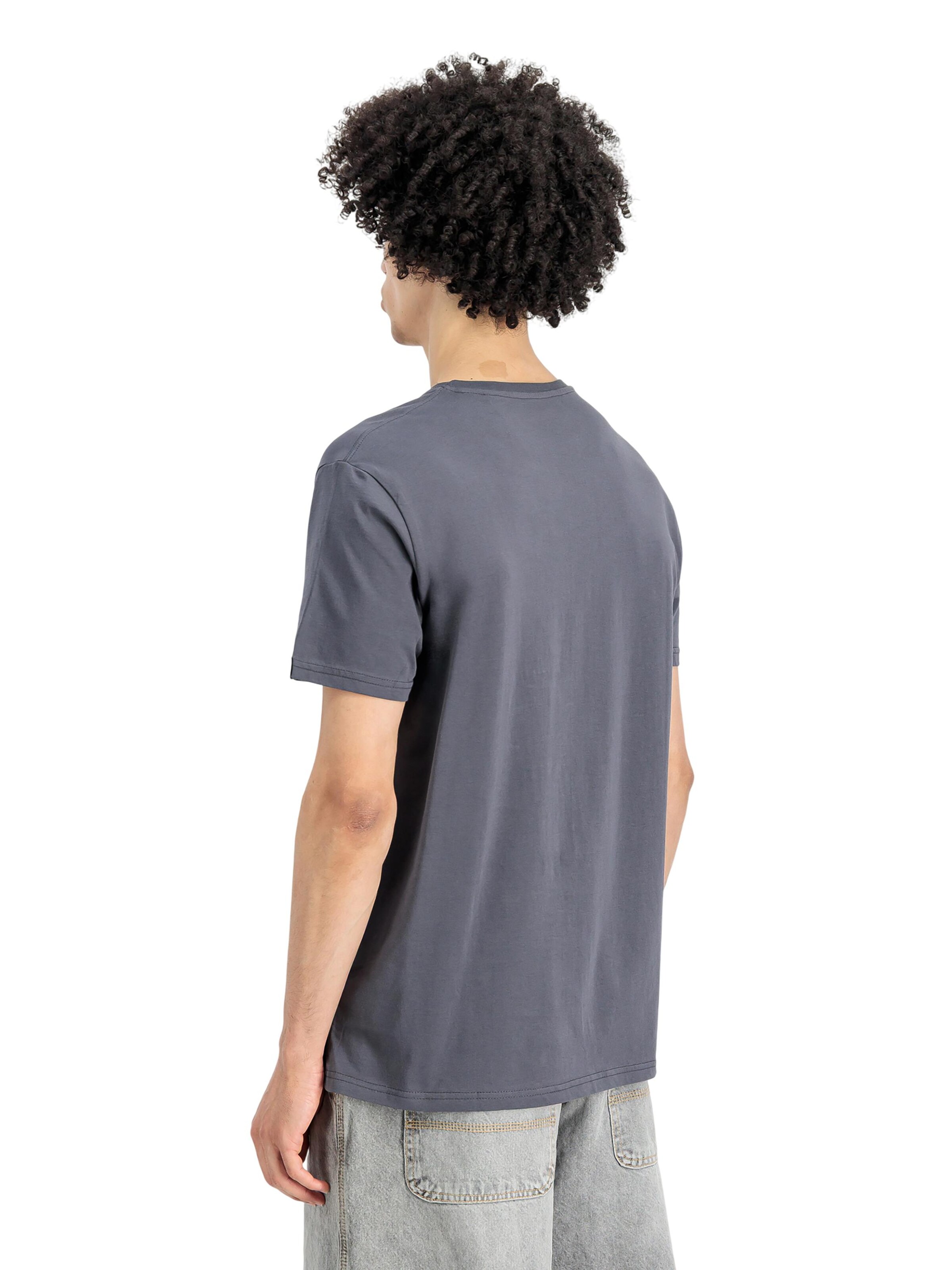 ALPHA INDUSTRIES Shirt 'Basic Small Logo'‌‌ in Grau