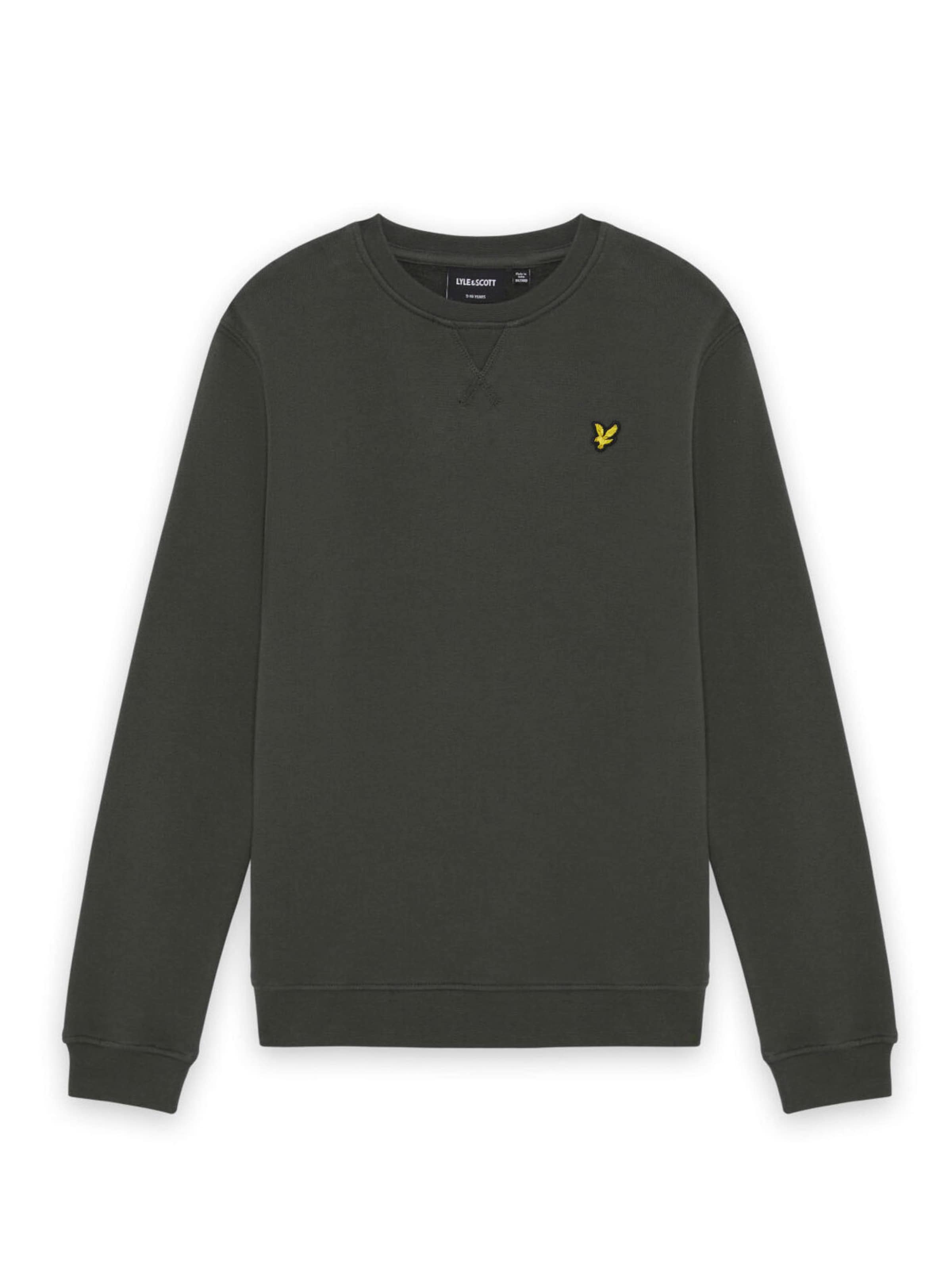 Lyle & Scott Sweatshirt in Grey: front