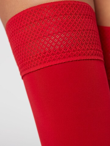 CALZEDONIA Hold-up stockings in Red
