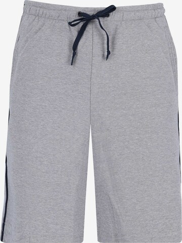 HAJO Shorts in Grau: predná strana