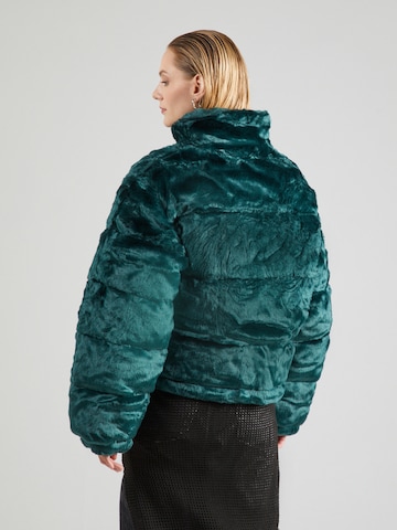 ALPHA INDUSTRIES Zimná bunda - Zelená