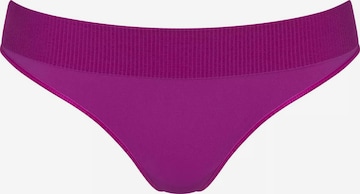 Slip 'EVER Infused' SLOGGI en violet : devant