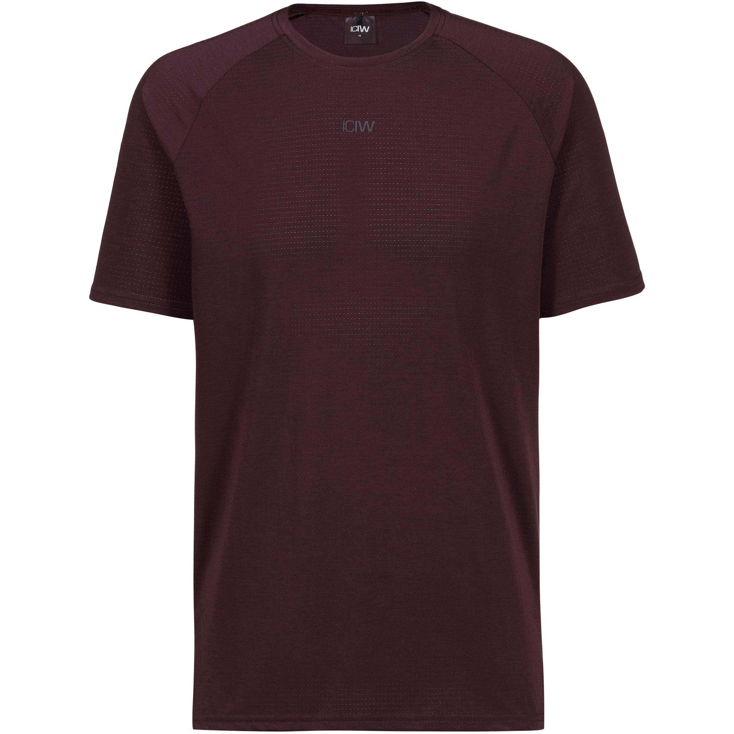 ICANIWILL Performance Shirt 'Stride' in Red: front