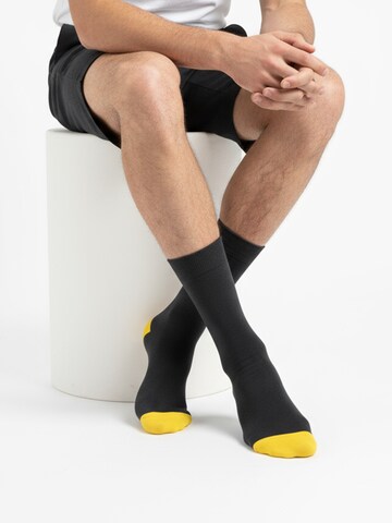 The Arctic Bay - Calcetines 'MANBARRA EDITION Gift box 4 Pack Unisex' en Mezcla de colores