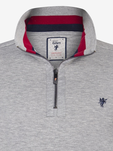DENIM CULTURE Sweatshirt 'Alcinoo' in Grau