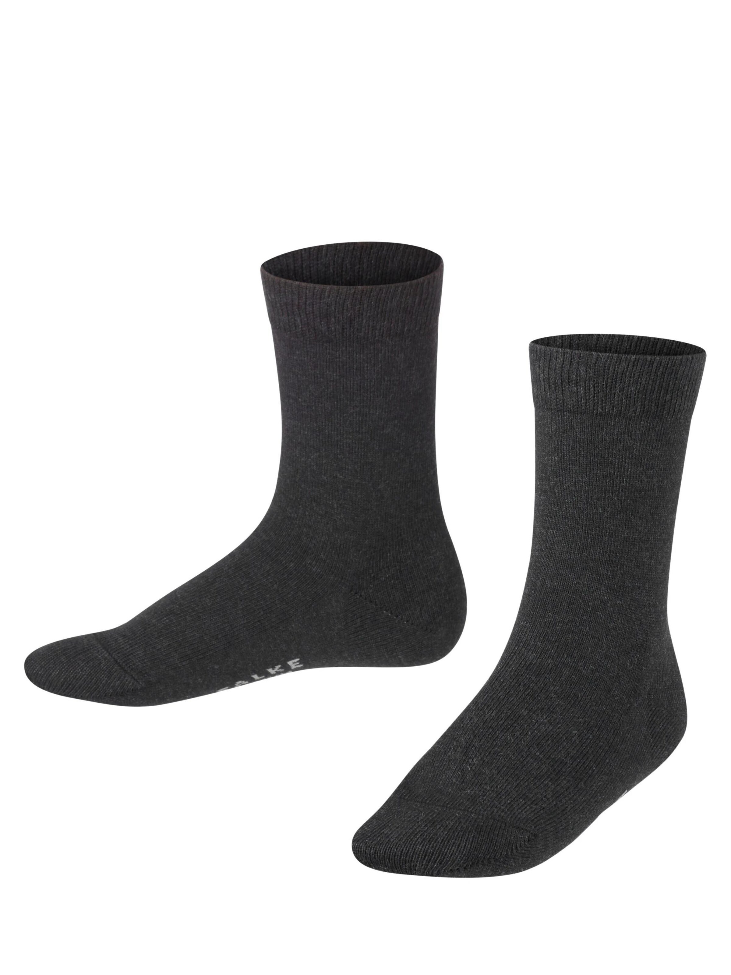 FALKE Socks 'Family' in Grey: front