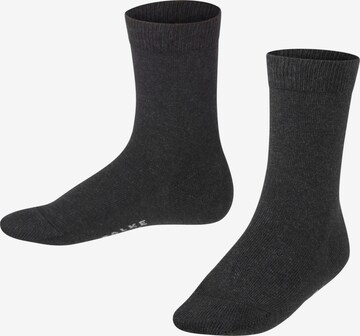FALKE Socks 'Family' in Grey: front