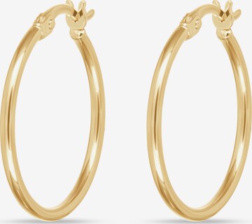FAVS Earrings in Gold: front