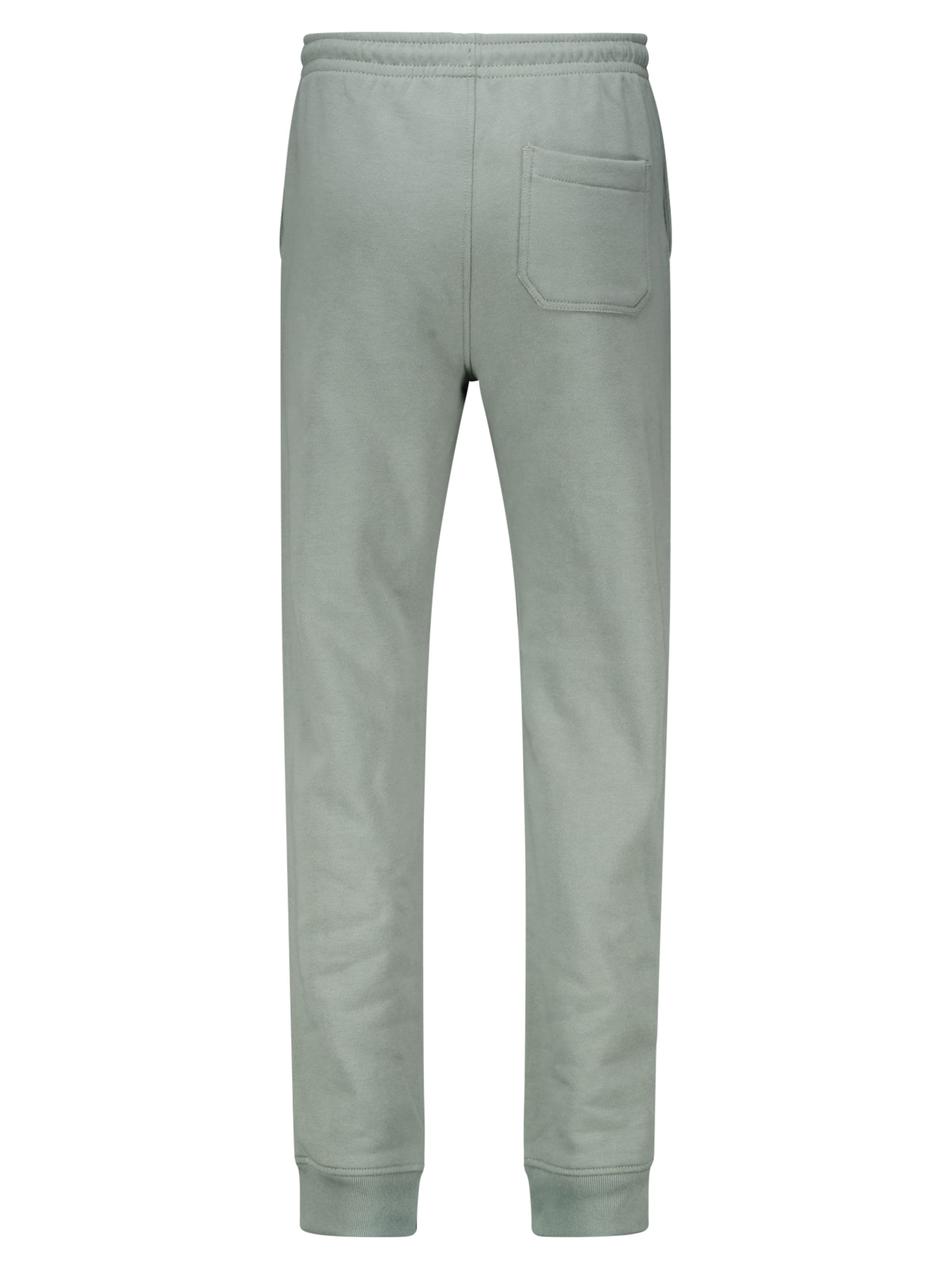 America Today Tapered Broek in Groen
