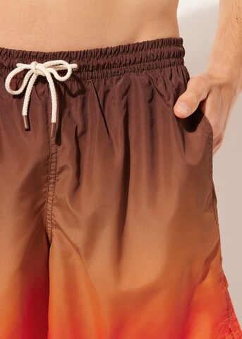 CALZEDONIA Regular Board Shorts in Brown