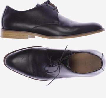 Everlane 2025 oxford shoes