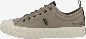 Palladium Sneakers laag 'Palla Ace' in Bruin: voorkant