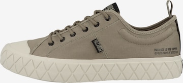 Palladium Sneakers 'Palla Ace' in Brown: front