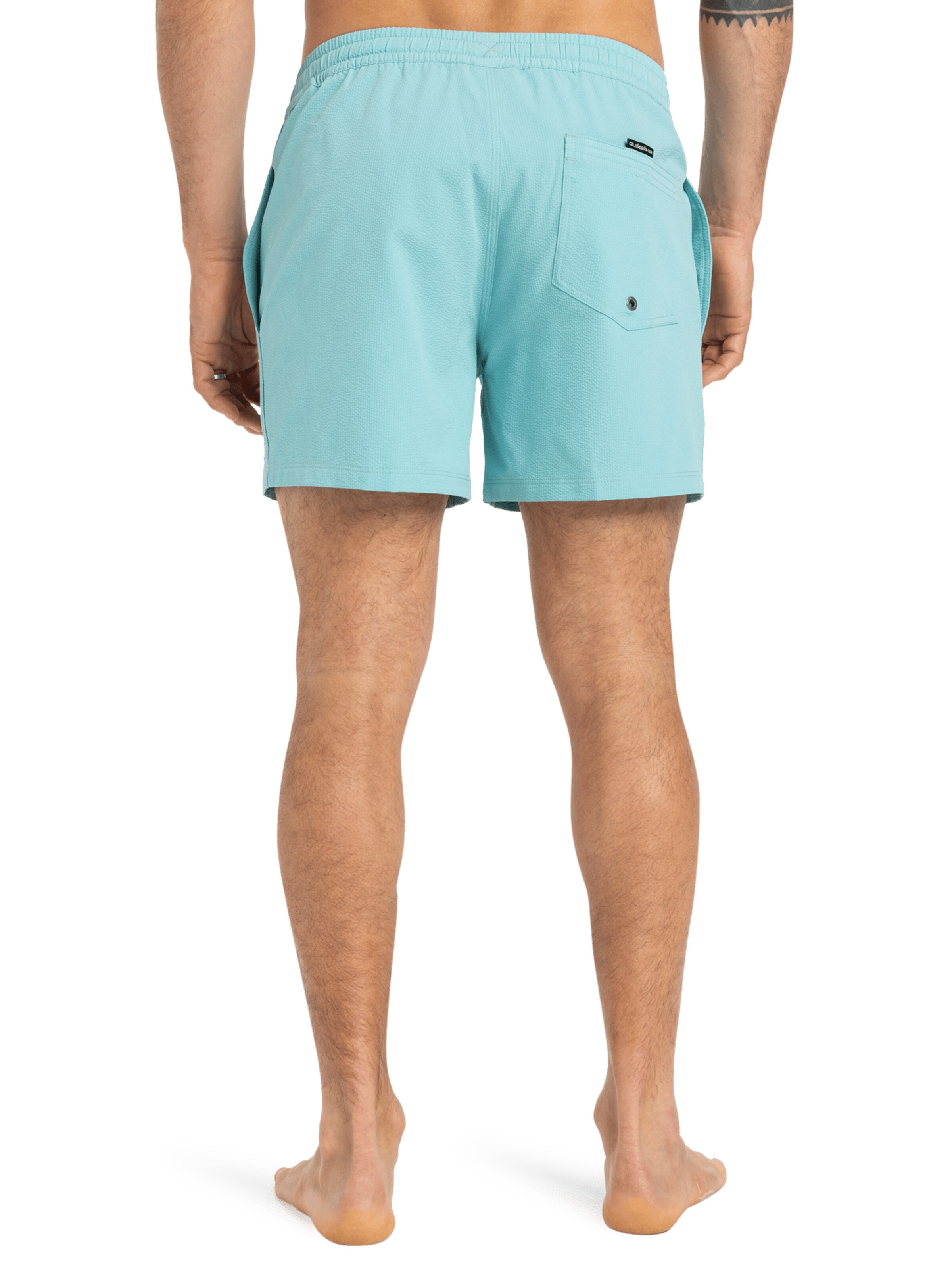 QUIKSILVER Swimming shorts 'Everyday Flex Volley 15' in Blue