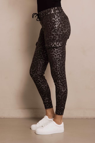 Zhrill Skinny Hose in Mischfarben