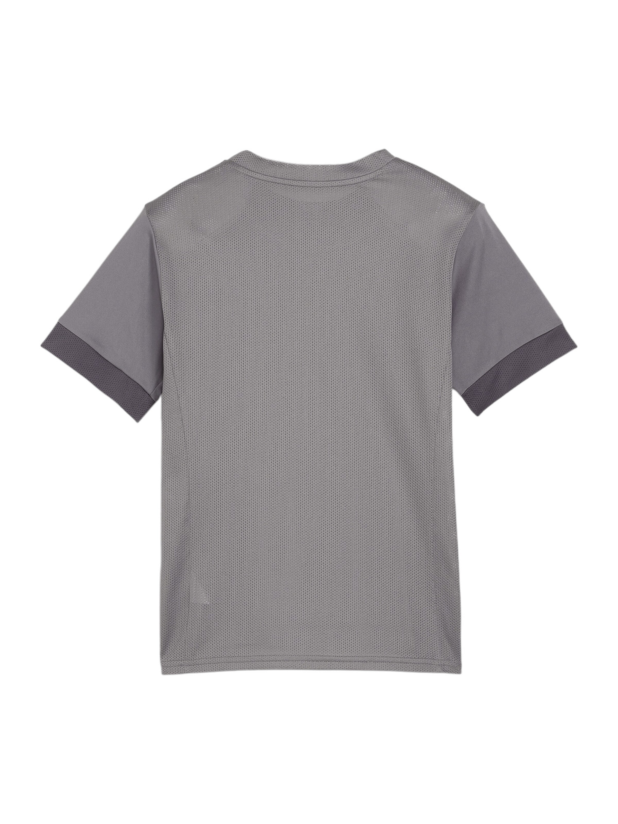PUMA Performance Shirt in Grey