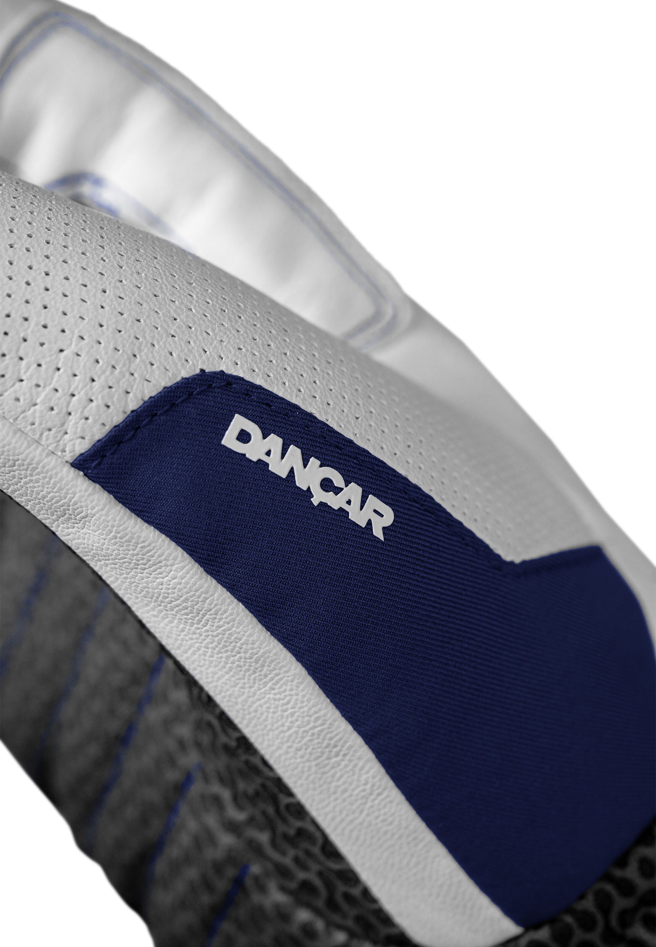 REUSCH Sports gloves 'Lucas Braathen' in Blue