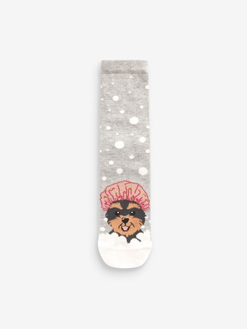 Next Socken in Mischfarben
