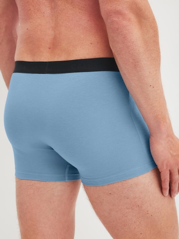CALIDA Boxer shorts 'Daywear Xtra' in Blue