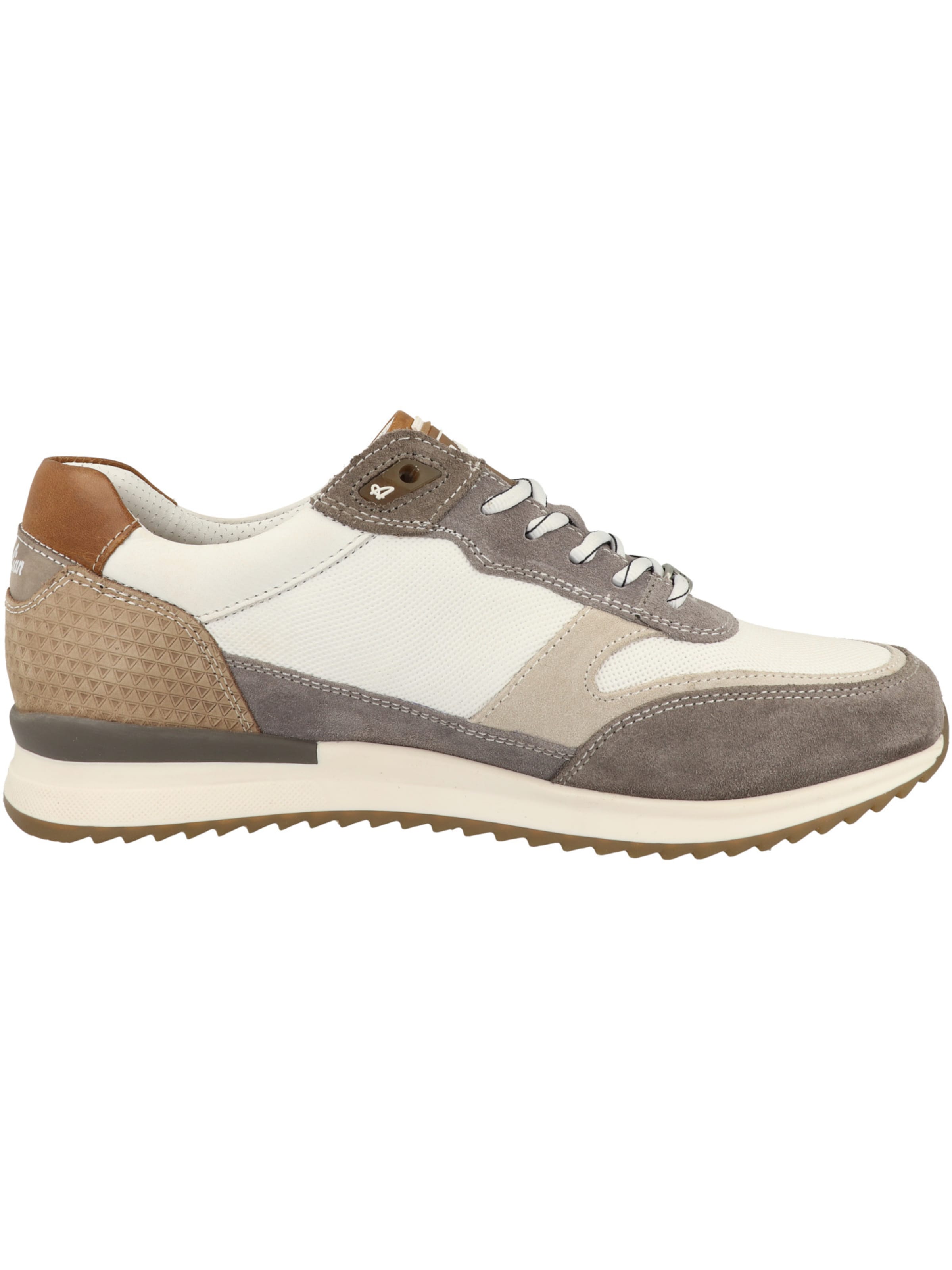 Baskets basses 'Filmon' AUSTRALIAN FOOTWEAR en gris