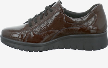 Westland Athletic Lace-Up Shoes 'CALAIS' in Brown