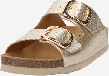 SCHOLL Mules 'NOELLE' in Gold: front