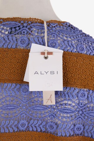 Alysi Sweater & Cardigan in L in Blue