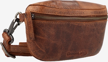 Greenland Nature Fanny Pack in Brown