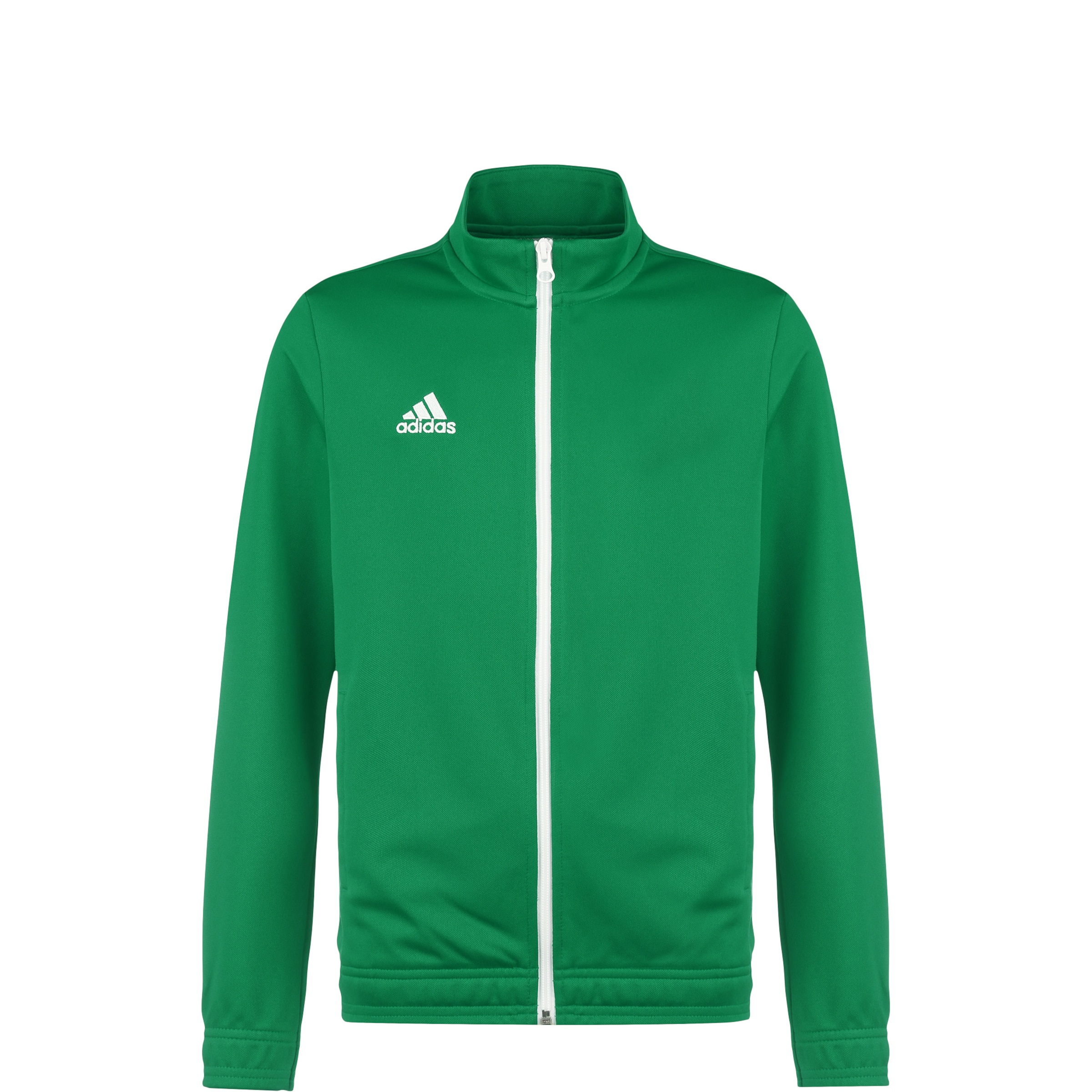 ADIDAS PERFORMANCE Sportjacke 'Entrada 22' in Grün: Vorderseite