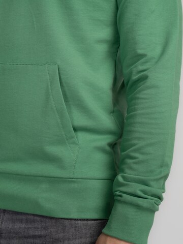 Petrol Industries Sweatshirt in Green