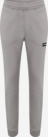 Pantaloni sportivi 'Cliff Glide' di COLUMBIA in grigio: frontale