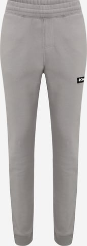 COLUMBIA Workout Pants 'Cliff Glide' in Grey: front