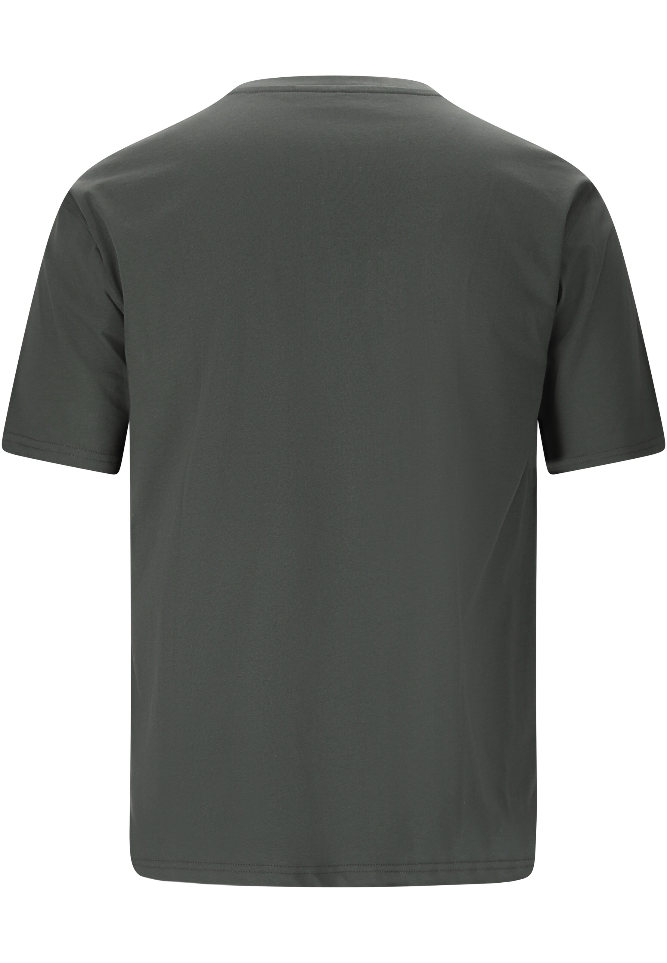 Virtus Shirt 'Idan' in Groen