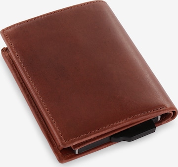 Roncato Wallet in Brown