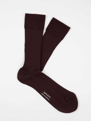 AN IVY Sokker i rød: forside