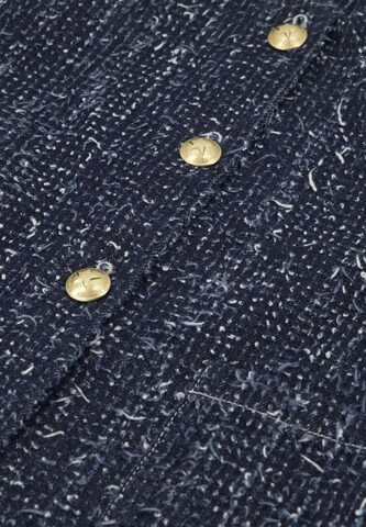 Fabienne Chapot Blazers in Blauw