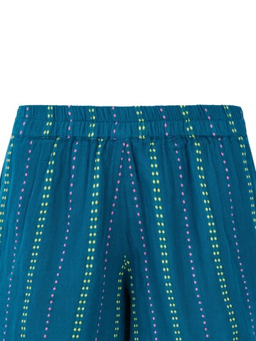 PROTEST Loosefit Hose 'PRTBanis'‌‌ in Blau