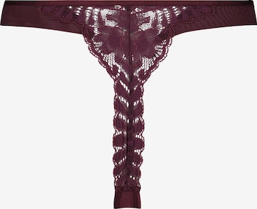 Hunkemöller Thong 'Kea' in Purple