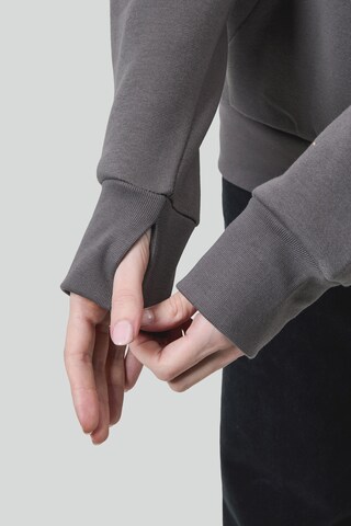 BENCH Sweatshirt in Grey
