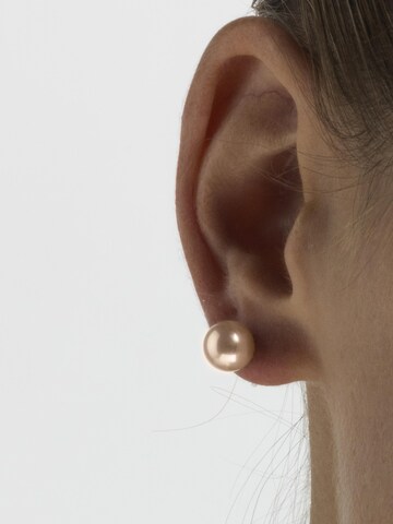Luxenter Earrings 'Geel' in Gold