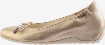 Ballerines 'LIZZY' Högl en bronze : devant