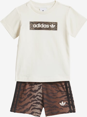 ADIDAS ORIGINALS Komplet 'AOP SHORT TEE' | rjava barva: sprednja stran