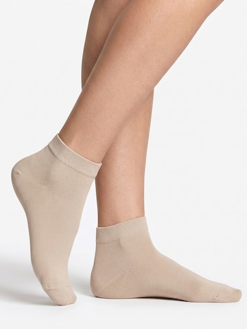 footstar Socks 'EVERYDAY!' in Beige