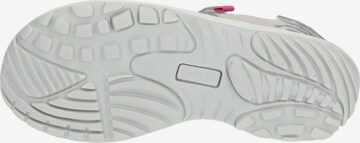 IMAC Hiking Sandals in Grey