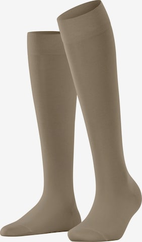 FALKE Kniestrümpfe 'Cotton Touch' in Beige: Vorderseite